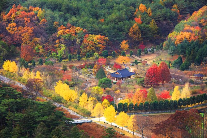 Full-Day Autumn Tour From Busan to Unmunsa Bhikkhuni Temple - Traveler Requirements