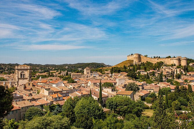 Full-Day Avignon Private Tour With Wine Tasting From Marseille - Itinerary Overview