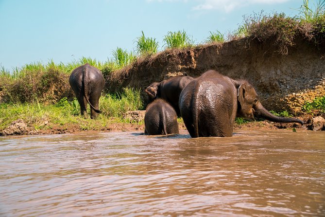 Full Day Chauffeur Driven Tuk Tuk Adventure in Chiang Mai Including Rafting - Pickup and Departure Details