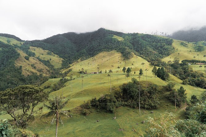 Full Day Climbing the Cocora Valley With Lunch - Preparation and Recommendations
