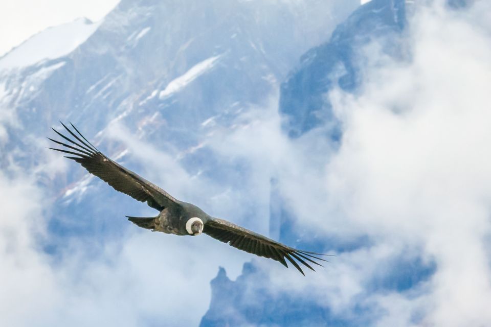 Full-Day Condor Viewpoint & Inca Sites Tour - Detailed Itinerary