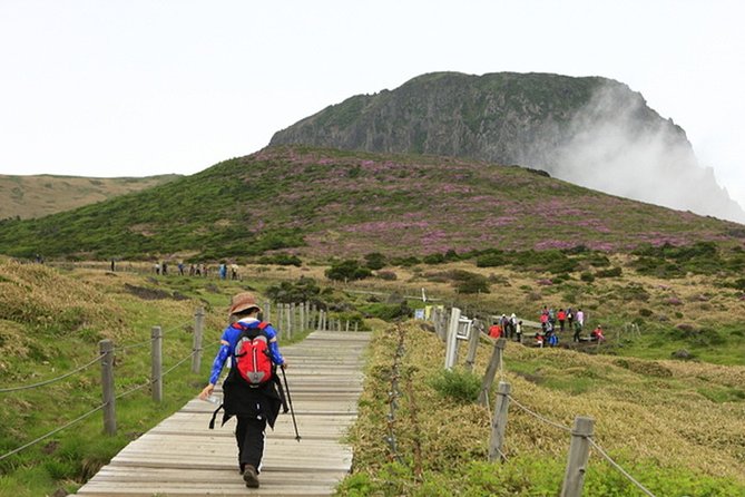Full-Day Customizable Private Essential Jeju Island Tour for South Course - Pricing Information