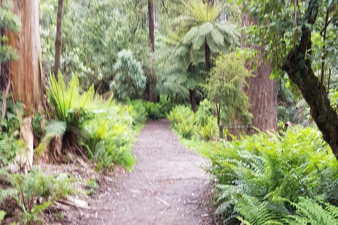 Full-Day Dandenong Ranges Tour With Pickup From Melbourne - Important Information