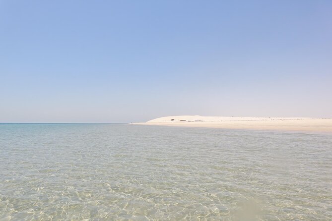 Full Day Desert Safari Doha - Booking Information and Pricing