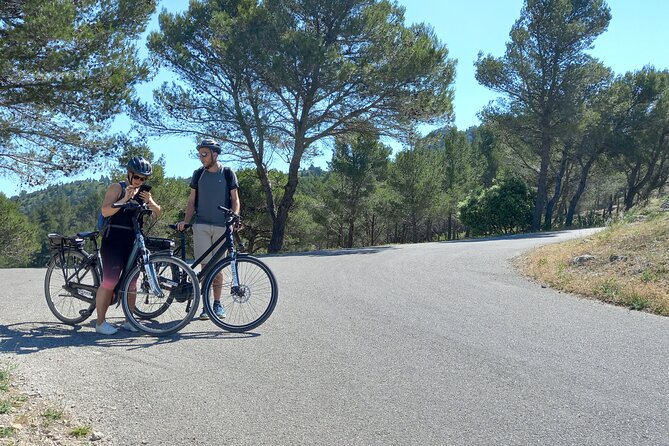 Full Day Ebike Tour in the Luberon Region From Avignon - Scenic Route Overview