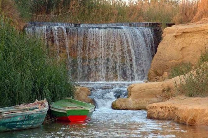 Full-Day Fayoum Oasis and Waterfalls of Wadi El-Rayan Tour From Cairo - Last Words
