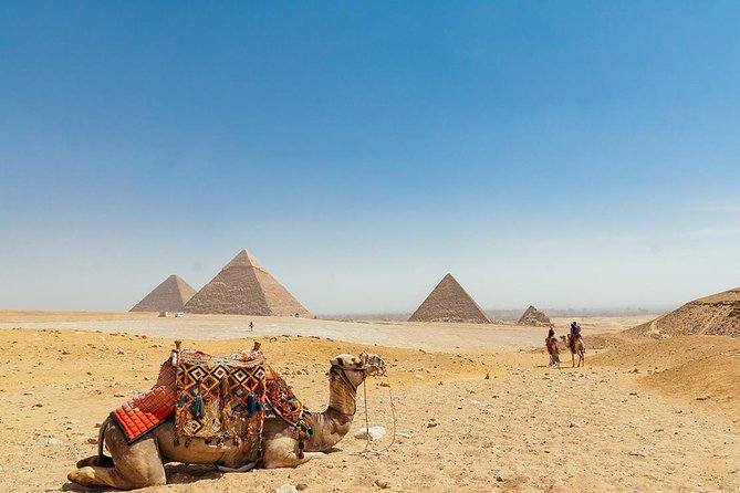 Full-Day Giza Pyramids and Egyptian Museum and Bazaar - Traveler Experience and Reviews