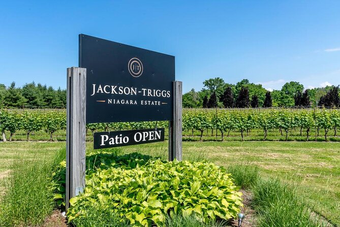 Full-Day Group Wine Tour (With Cheese and Charcuterie) in Niagara-On-The-Lake - Tour Guides