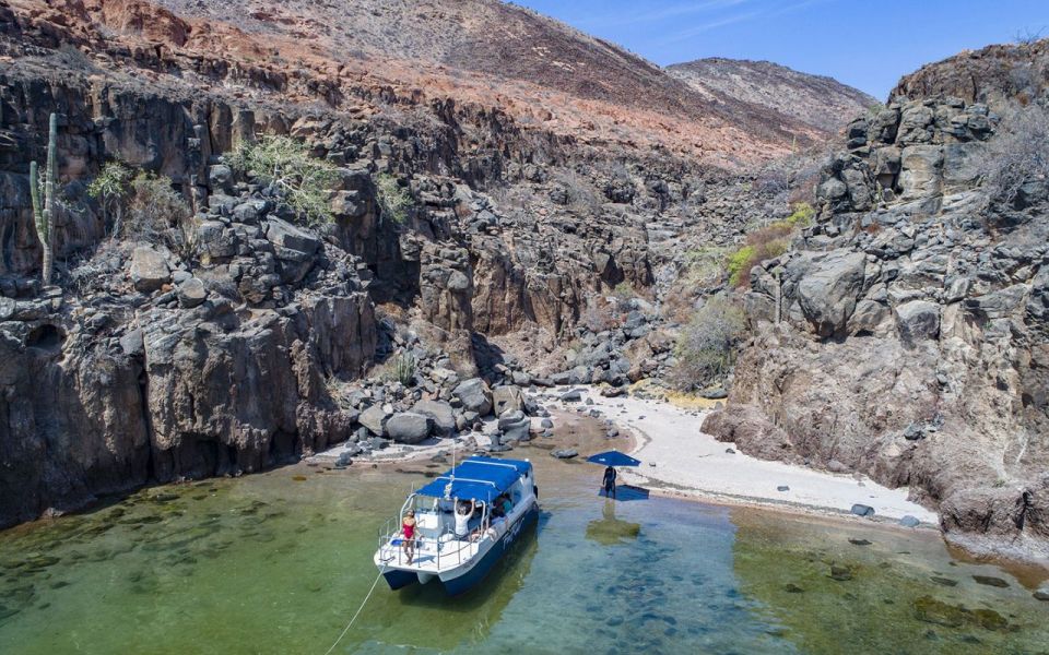 Full-Day Guided Tour Espíritu Santo Island & Sea Lions - Live Tour Guide Information