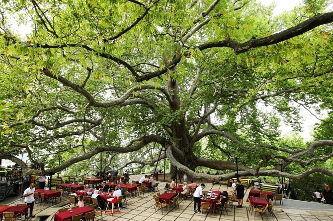 Full Day Guided Tour to Bursa With Lunch and Cable Car - Culinary Experience