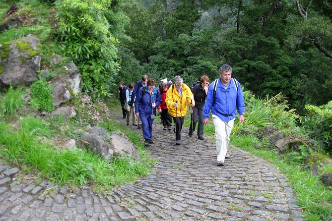 Full Day Hiking Faial Da Terra (Min. 2 Persons) - Viators Role and Compliance Requirements