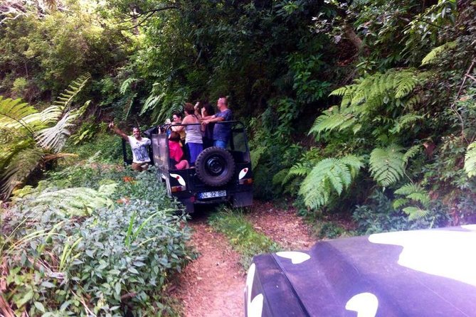 Full Day Jeep Safari East - Pico Do Areeiro - Santana - Ponta De São Lourenço - Areas Covered in the Tour