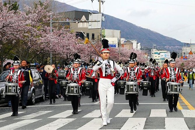 Full-Day Jinhae Cherry Blossom Festival Private Tour - Flexible Cancellation Policy