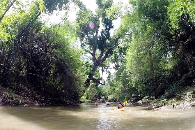 Full-Day Jungle Kayak Mae Wang Rock Hopper Trip From Chiang Mai - Kayaking Experience Details