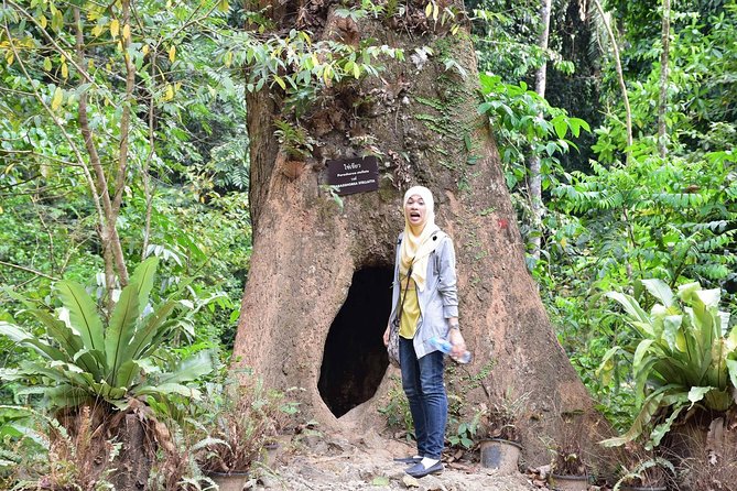 Full-Day Jungle Tour Including Tiger Cave Temple, Crystal Pool and Krabi Hot Springs - Guide Experience and Feedback