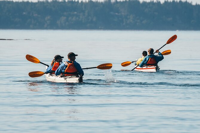 Full Day Kayaking Adventure on Vancouver Island - Traveler Reviews