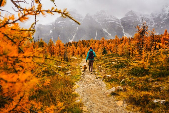 Full-Day Larch Hike, Banff Departure - Safety Guidelines