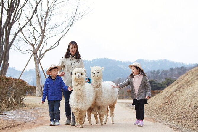 Full-Day Legoland and Alpaca World Guided Tour From Seoul - Transportation Information