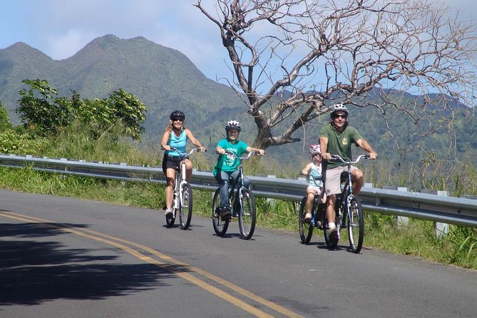 Full Day Oahu Bike, Hike, Sail and Snorkel Combo - Visitor Experiences and Testimonials