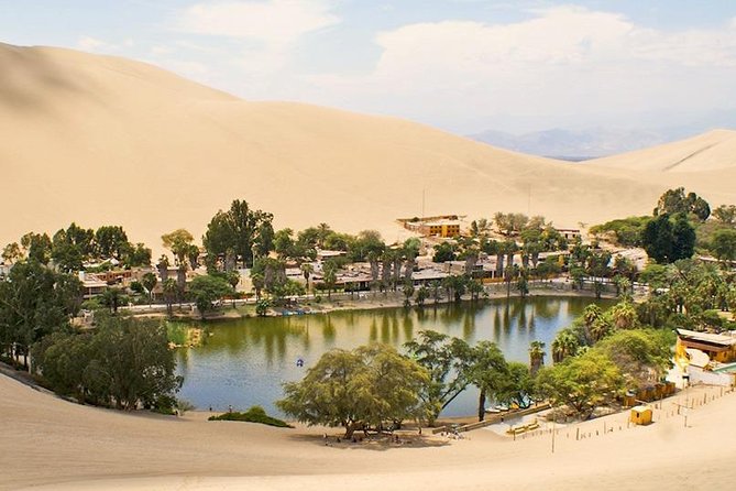 Full Day Paracas - Ica - Oasis Huacachina - Traveler Reviews