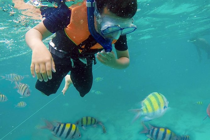 Full Day Phi Phi Island Tour and Snorkel Free Transfer - Meal and Activities