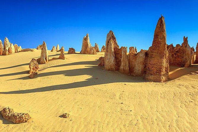 Full-Day Pinnacles Desert and Yanchep National Park Tour From Perth - Wildlife Encounters