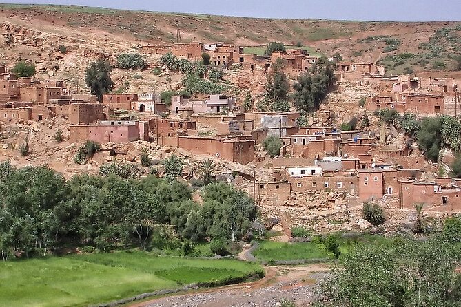 Full-Day Private Atlas Mountains and Agafay Desert Tour - Customer Reviews