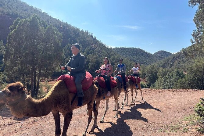 Full-Day Private Atlas Tour From Marrakech to Ourika Valley. - Booking Information