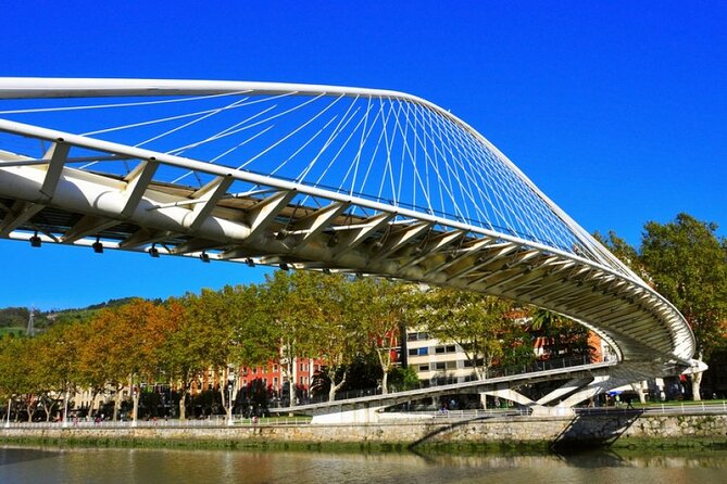 Full-Day Private Bilbao Tour (Guggenheim Museum & Full Pintxo Lunch Included) - Assistance and Inquiries