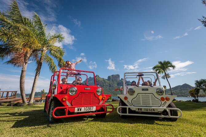 Full-Day Private Bora Bora Electric E-Moke Rental - Tips for a Smooth Self-Driving Experience