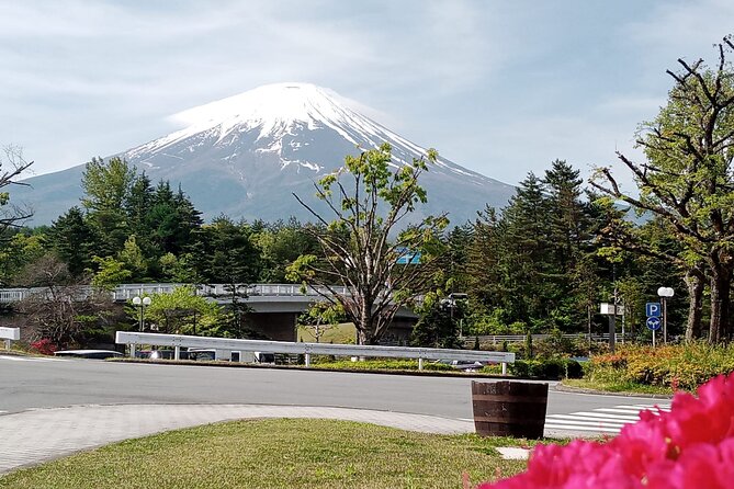 Full-day Private Exploration in Mount Fuji - Common questions