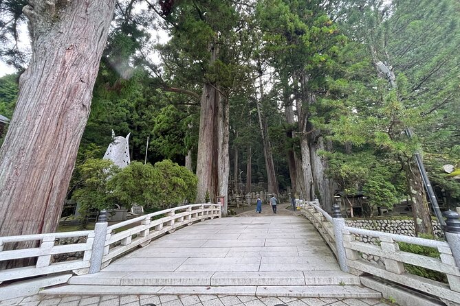 Full-Day Private Guided Tour to Mount Koya - Cultural Insights