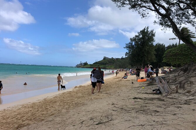 Full-Day Private or Small-Group Oahu Hike and Beach Tour  - Honolulu - Tour Highlights