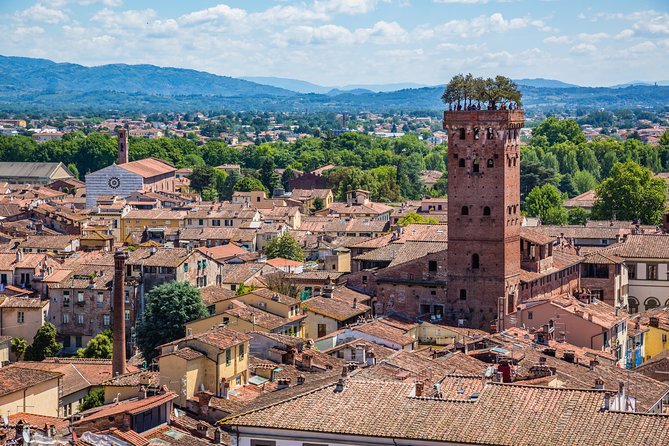 Full-Day Private Pisa and Lucca Tour From Florence - Reviews and Feedback
