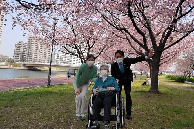 Full Day Private Tokyo Tour for Wheelchair Users - Wheelchair-Friendly Attractions