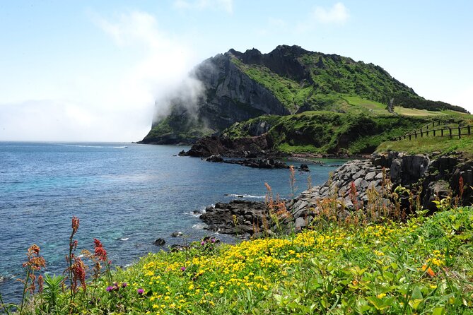 Full-Day Private Tour in Jeju Scenic East Coast - Pricing Details
