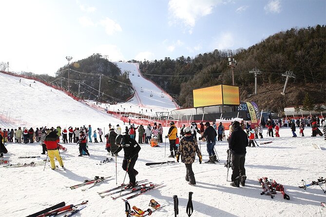 Full Day Private Tour Nami Island & Gangchon Elysian Ski - Booking Information