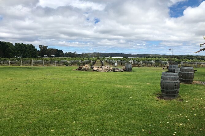 Full-Day Private Wine Tour of the Stanthorpe Area With Lunch - Wine Tasting Experience