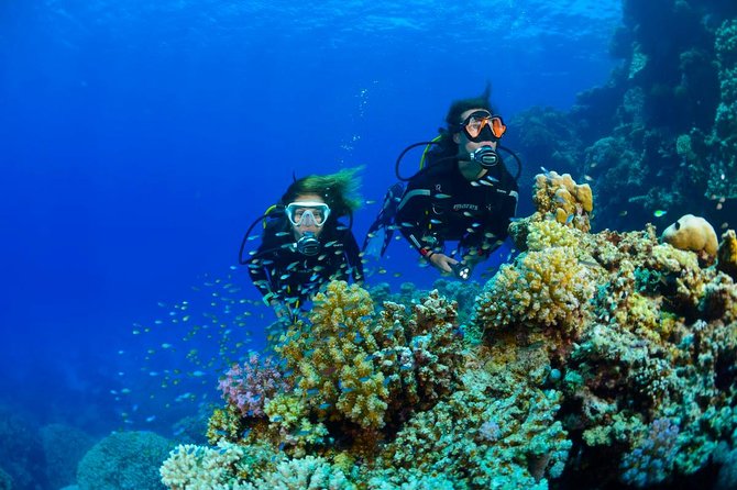 Full-Day Racha Yai Private Scuba Diving Course From Phuket - Customer Reviews