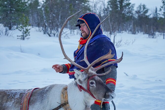 Full-Day Reindeer Tour With Pickup in Kiruna - Customer Experiences