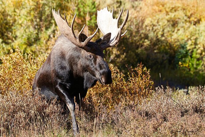 Full-Day Rocky Mountain National Park "Over The Top Tour" - RMNPhotographer - Meeting Point Details