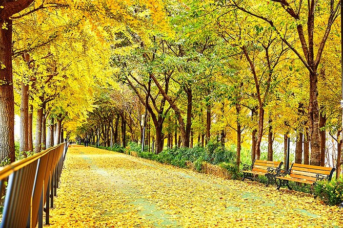 Full-Day Seoul Autumn Foliage Private Guided Tour - Private Guide and Transportation