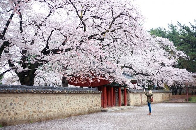 Full-Day Small Group Gyeongju History Tour From Seoul - Expert Tour Guides