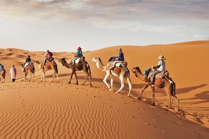 Full-Day Small-Group Red Desert Safari With BBQ Dinner in Dubai - Safety Guidelines