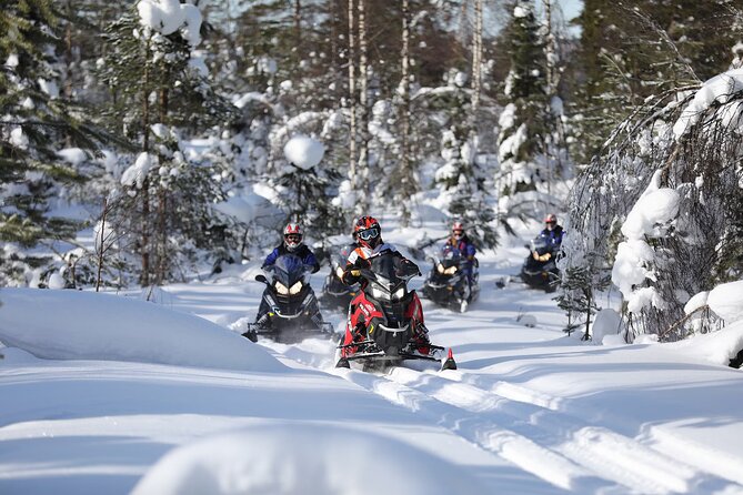 Full Day Snowmobile Activity in Rovaniemi - Tips for a Memorable Experience