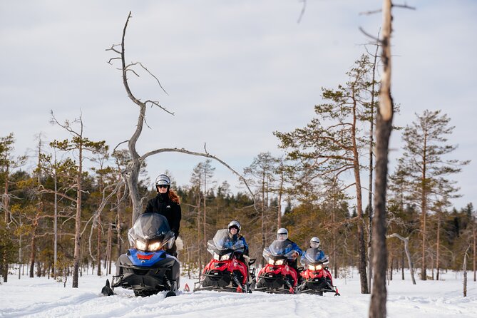 Full Day Snowmobile Safari in Rovaniemi - Common questions