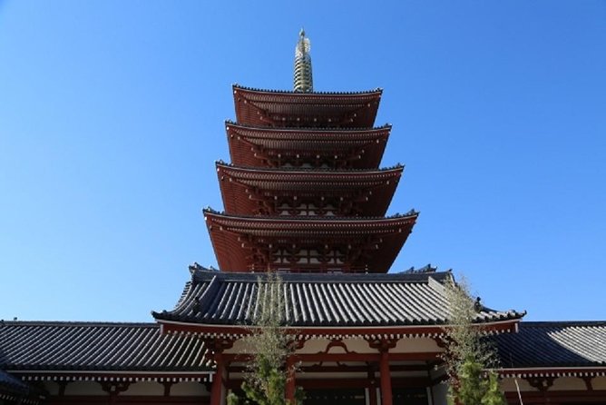 Full Day Tokyo Chartered Taxi Tour From Narita - Inclusions and Exclusions
