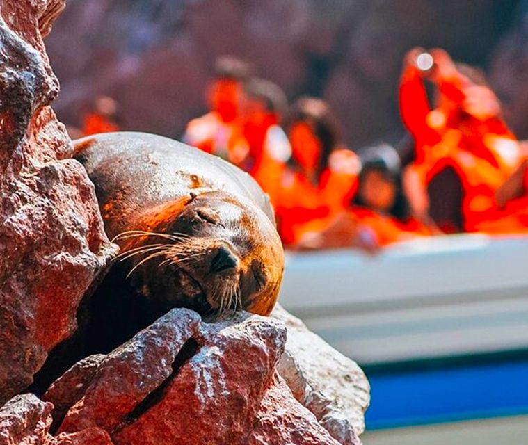 Full Day Tour Ballestas Islands & Paracas National Reserve - Booking Flexibility