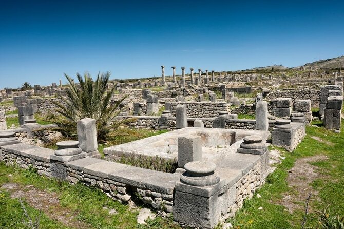 Full-Day Tour From Fez to Vollubulis, Moulay Idriss Zerhoun, Mèknes - Last Words