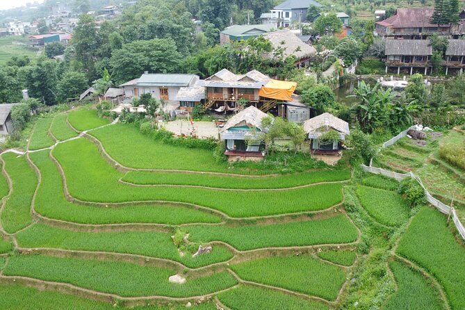 Full Day Tour in Sapa With Trekking - Local Cultural Experiences